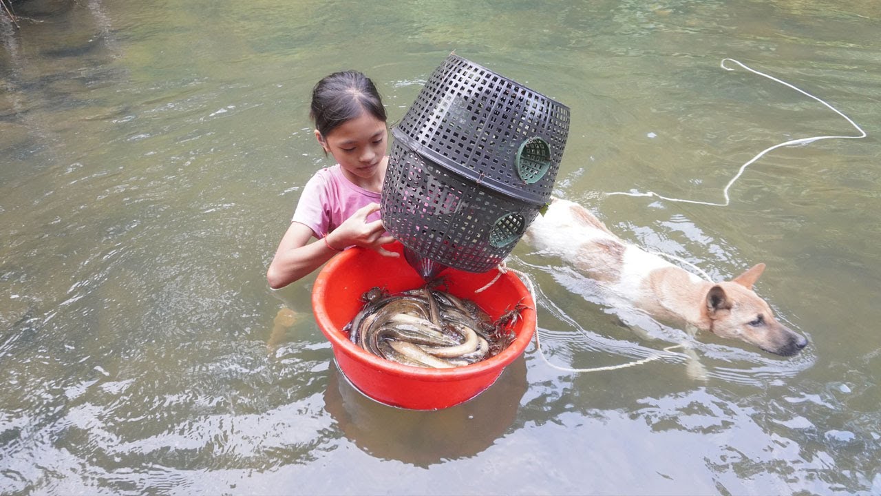 Poor girl. Harvest fish, crab and grapefruit and go to the village to sell - Green forest life