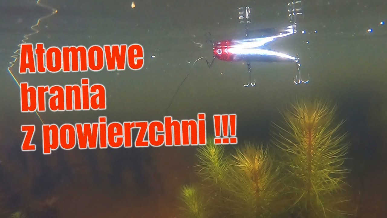 SZCZUPAKI z POWIERZCHNI !!! NA BAGIENKU czuję się jak w innym świecie !!!