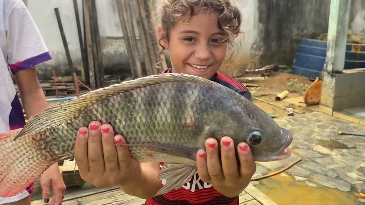 DESAFIO | PESCANDO DENTRO DA PISCINA - quem pega mais tilápia.@Valadares da pesca