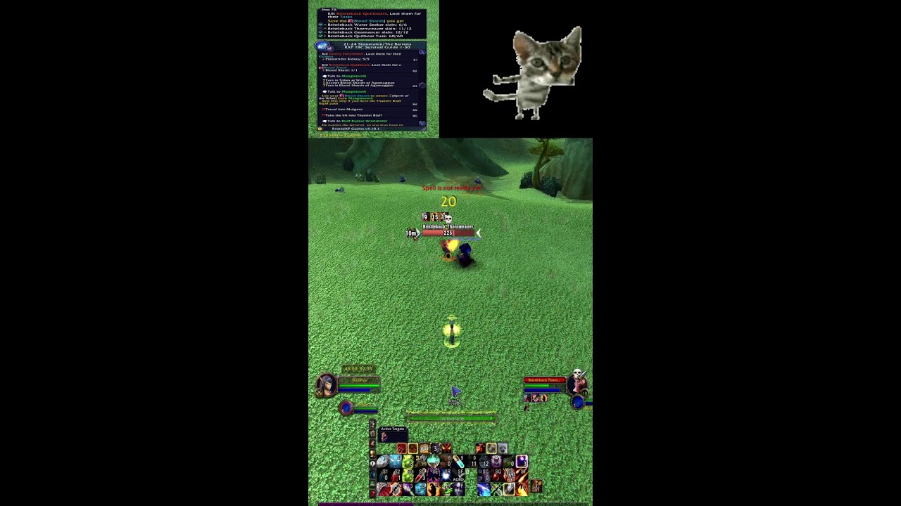 WOW TBC LVLING WARLOCK/ВОВ ТБК ПРОКАЧКА ЛОКА  (Portrait)