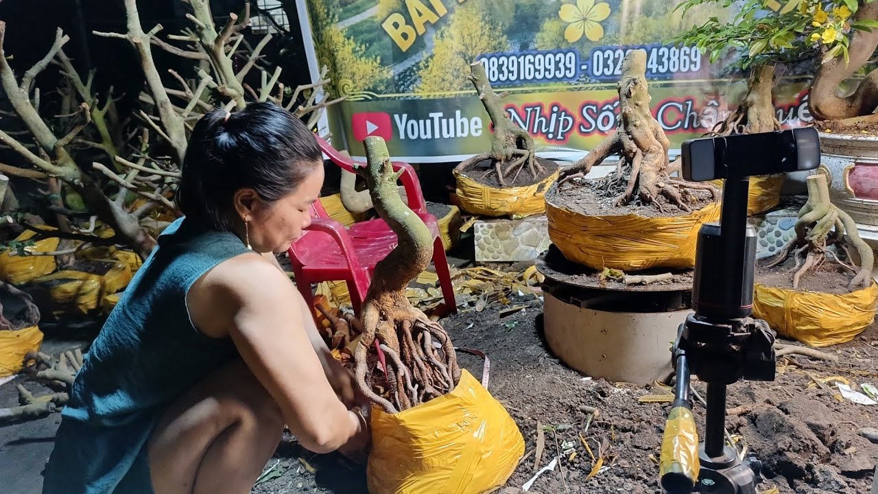 Nhịp Sống Chân Quê đang phát trực tiếp!