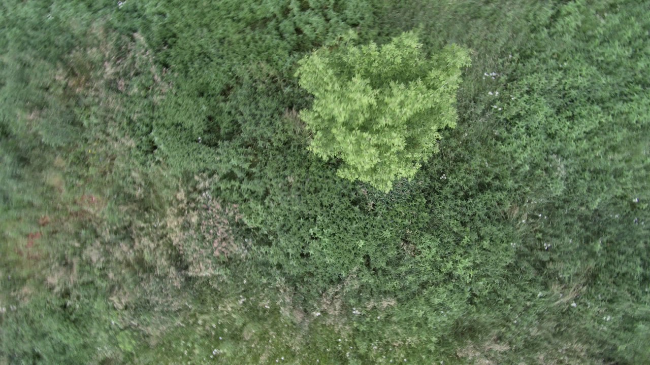 Протестировал стоковые настройки Betaflight 4.2 final