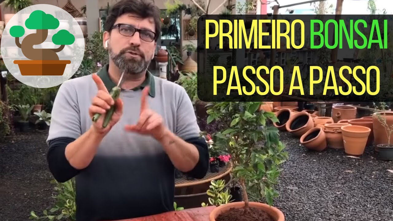 Como Fazer Seu Primeiro Bonsai Passo a Passo