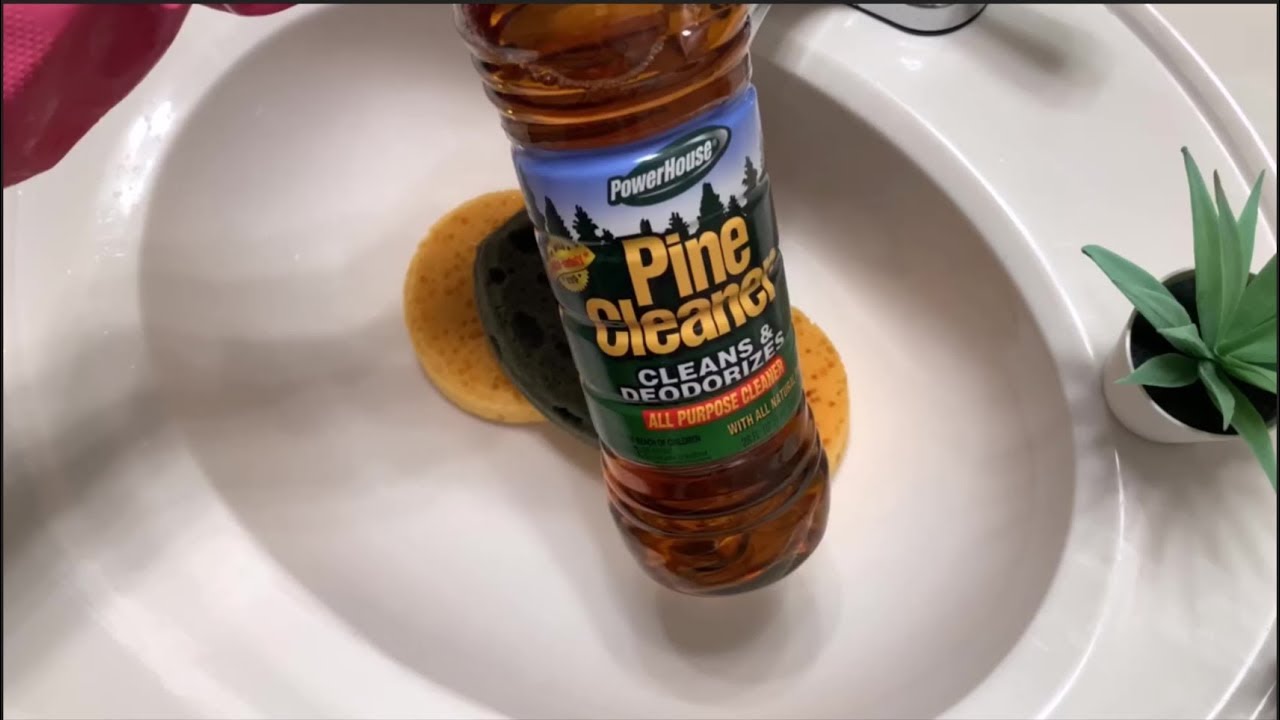 🌲🧽 ASMR Powerhouse Pine w/ Rinsing 🧽🌲