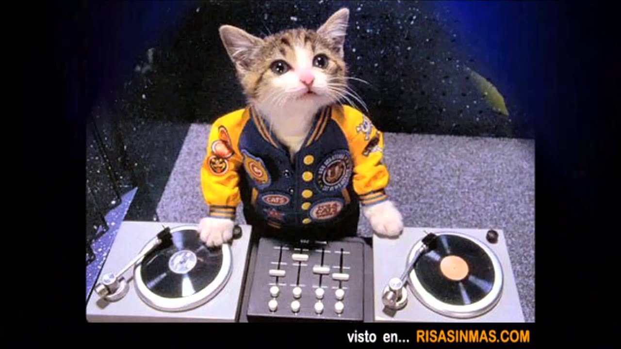 LOS GALLITOS DEL CHIBULEO REMIX  SUMAK KUYTZYTA (( DJ WILLIAM)) 2016