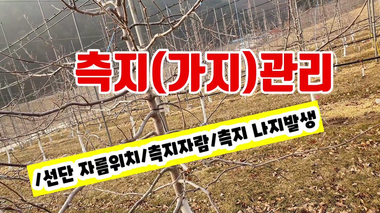 수확량 증대를 위한 측지관리