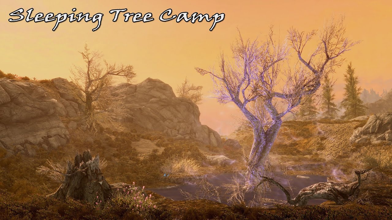 Skyrim   Sleeping Tree Camp   (Ambient + Music)