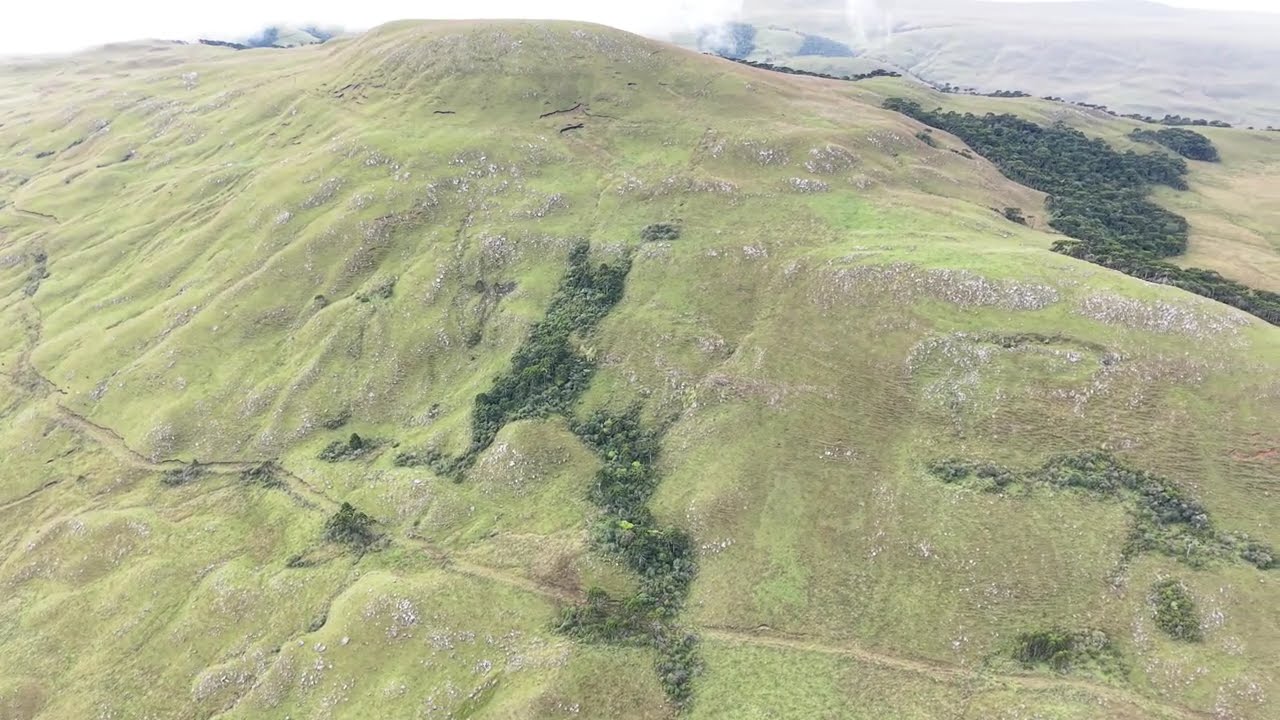 Primeiro do dia em Santa Barbara