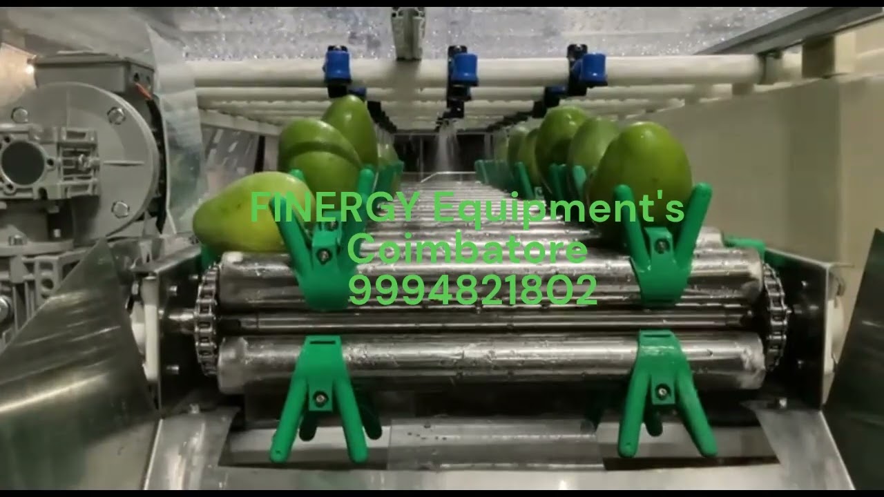 Mango washing Conveyor