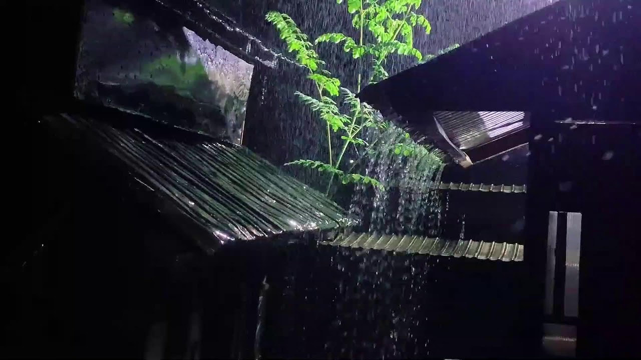 Rain Sounds for Sleeping - ASMR Heavy Rain Hammering Tin Roof for Deep Night Sleep | RAIN SOUNDS