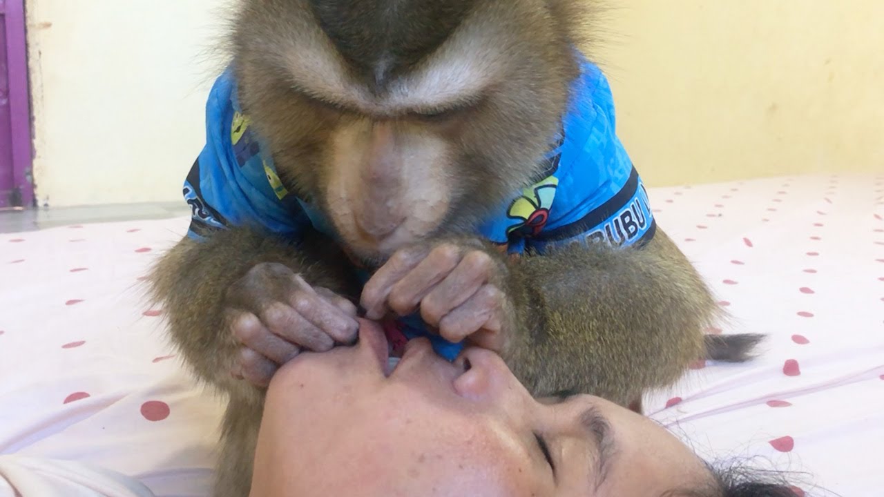 Jason Inspect Grooming To Remove Dry Cell Lip