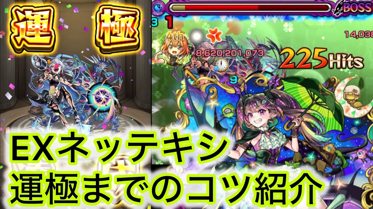 【ネッテキシ運極】ネッテキシ攻略の注意点紹介！！【モンスト】