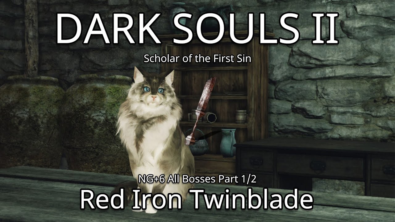 [DS2:SotFS] NG+6 All Bosses Red Iron Twinblade Part 1