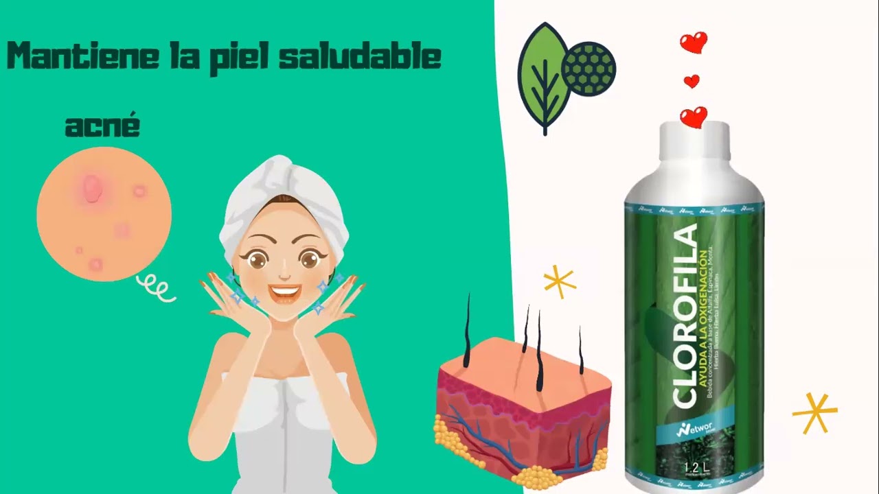 CLOROFILA - NETWOR STORE