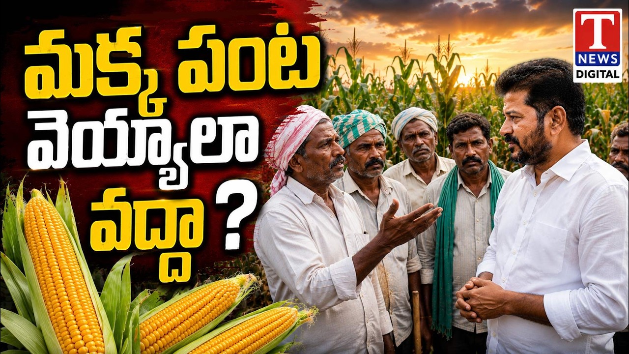Farmers Demand Clarity on Maize Cultivation from Revanth Govt | T News Digital