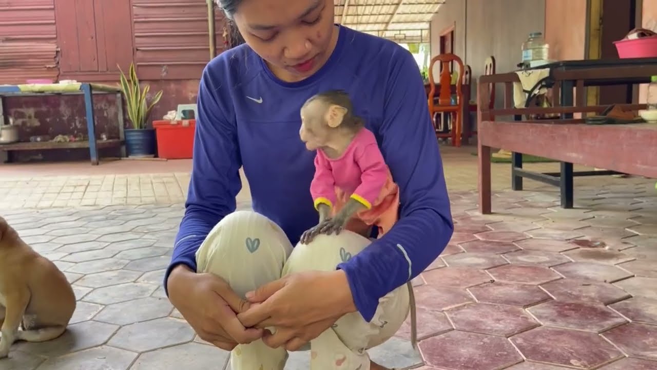 Ch0aw koy Xtremaly Sadd voice with puppy 