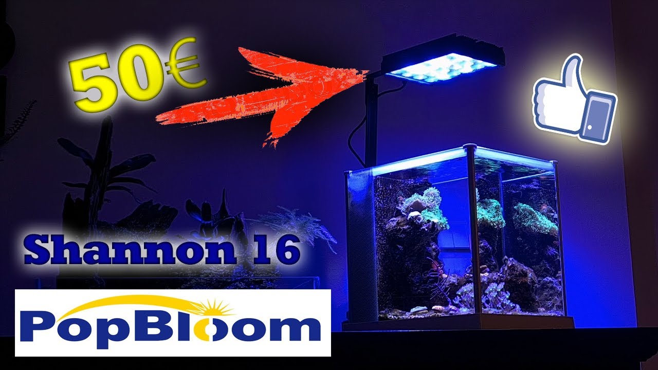 Günstige Meerwasser LED 30W Shannon 16 POPBLOOM