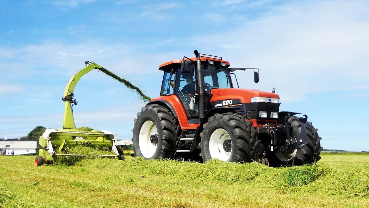 Fiatagri G170 in the field chopping grass w/ Claas PU220 Forage Harvester | DK Agriculture