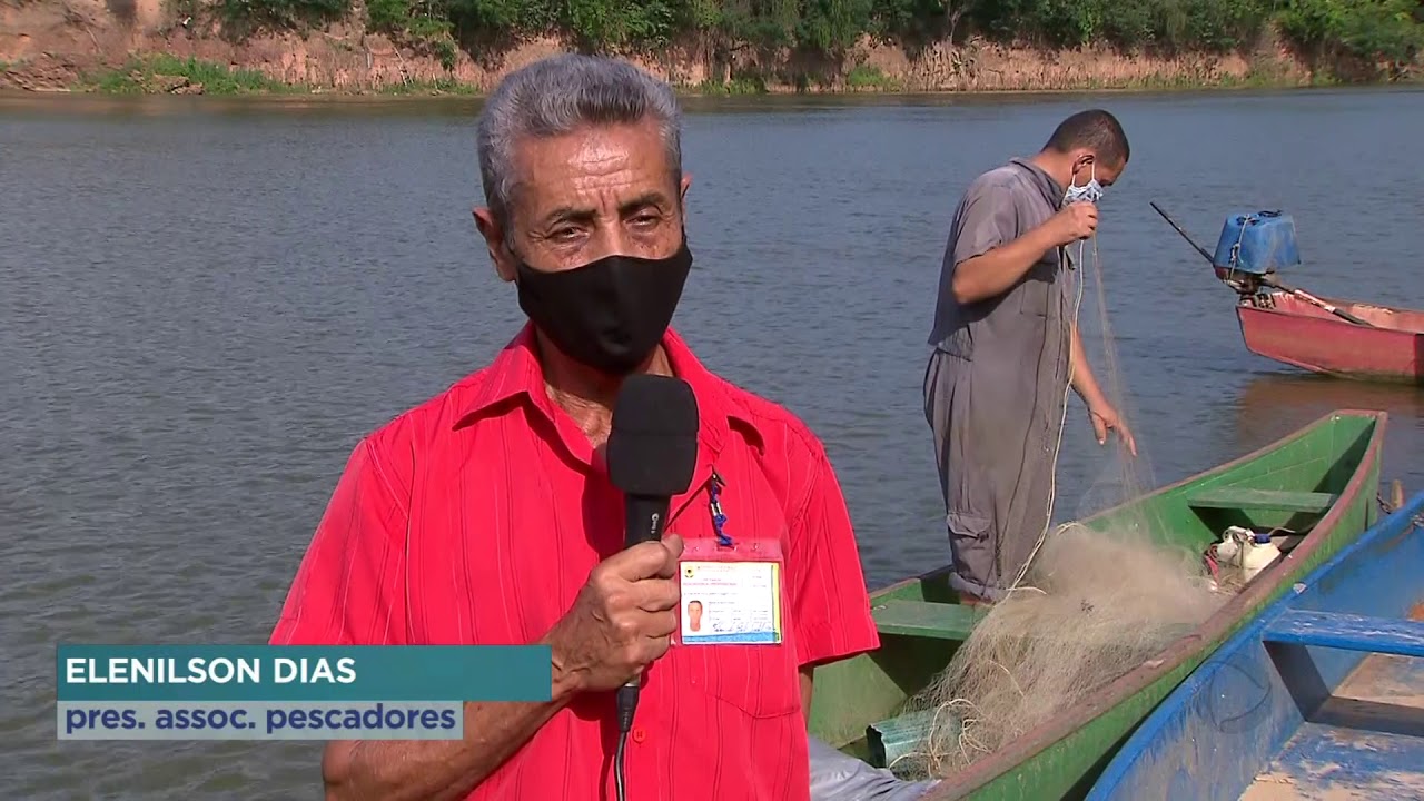 Bagres africanos prejudicam pescadores