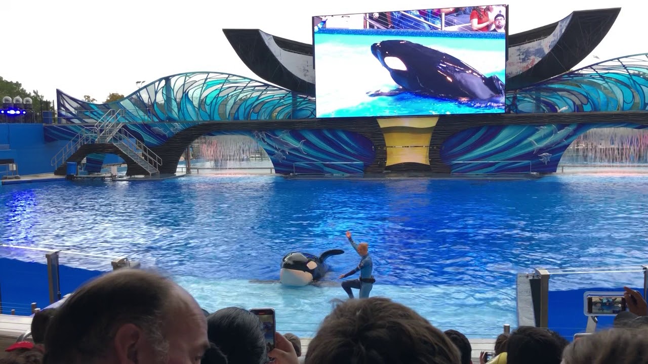 (LAST) One Ocean at SeaWorld Orlando
