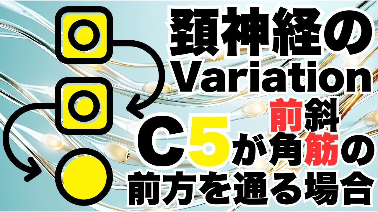 C5頚神経のVariation〜前斜角筋の前方を通過する場合〜