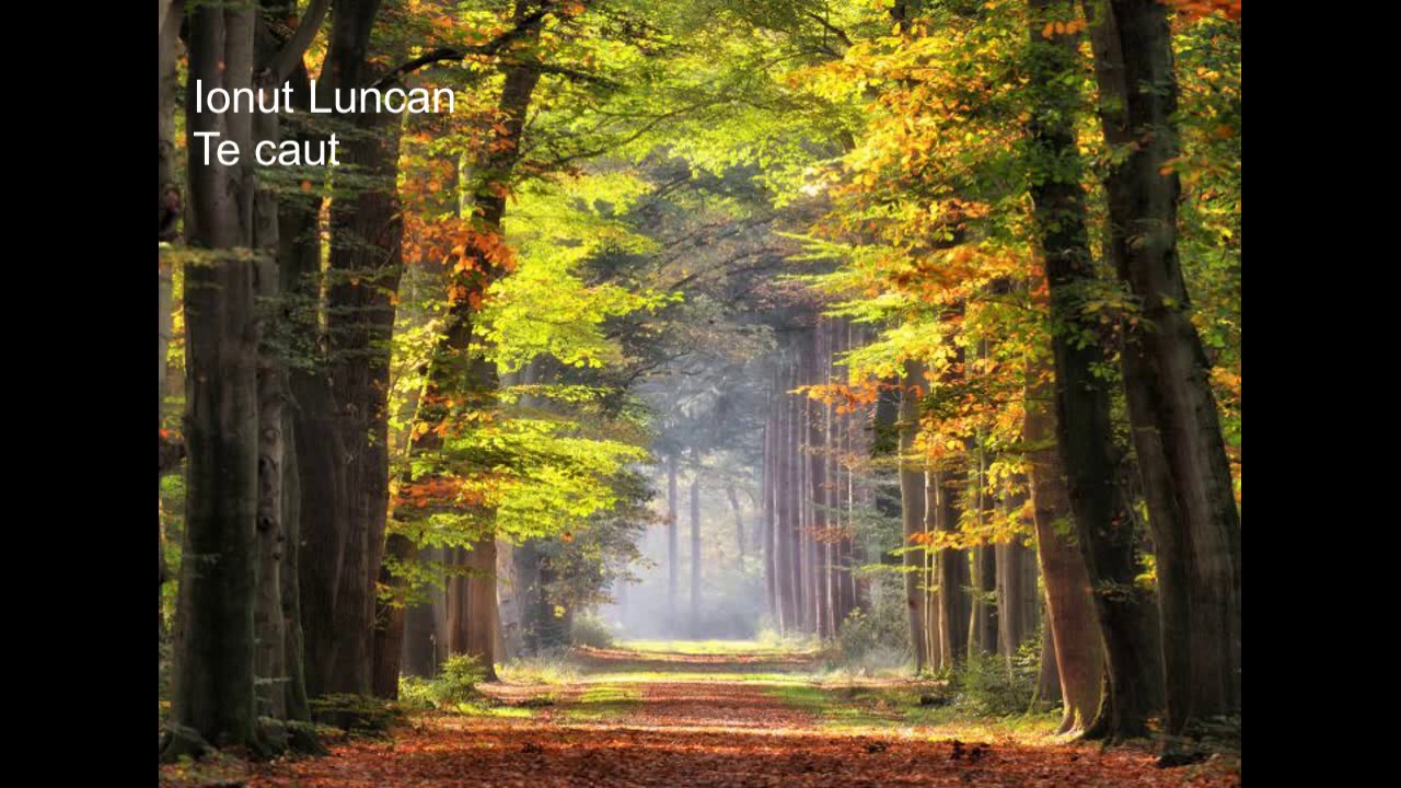 Te caut, te caut- Ionut Luncan
