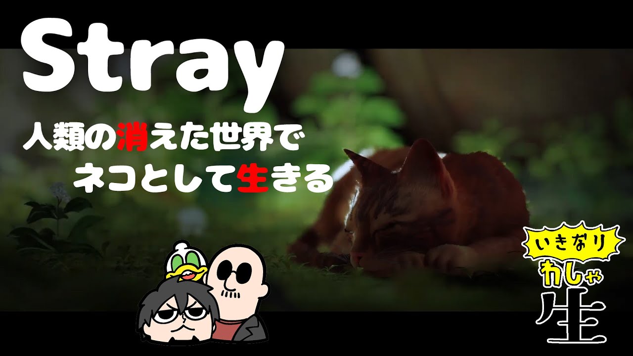 【Stray】迷いネコちゃんを操作してのんびり猫ライフを楽しむとおもいきや、めちゃくちゃ良質雰囲気のゲーム