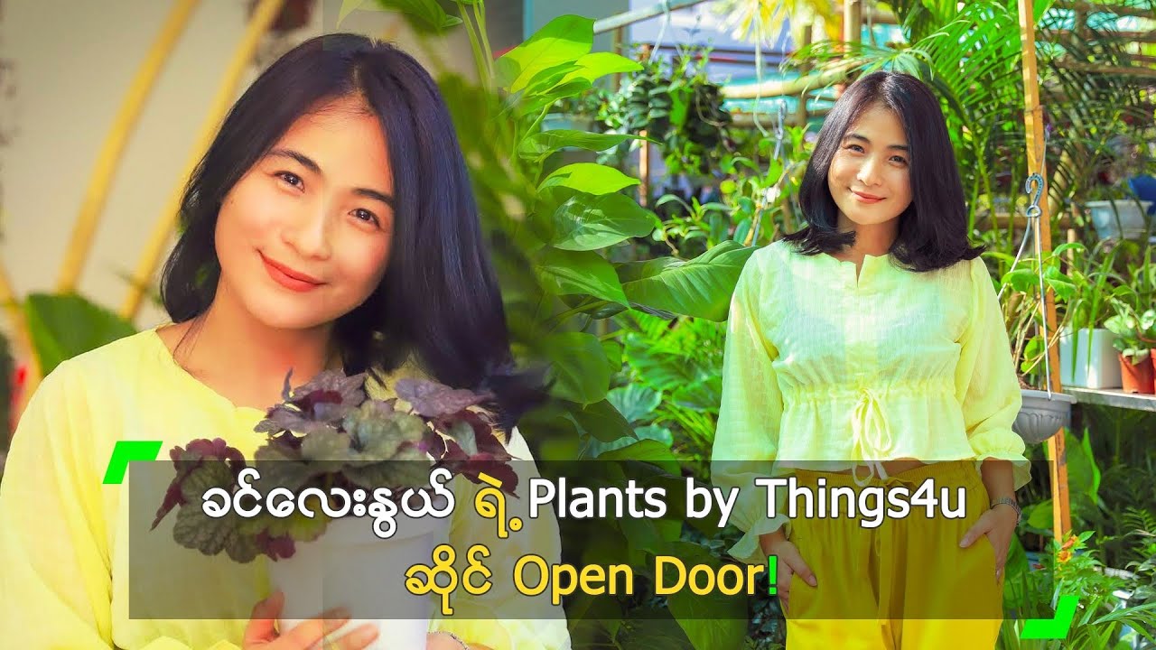 ခင်လေးနွယ် ရဲ့ Plants by Things4u ဆိုင် Open Door!