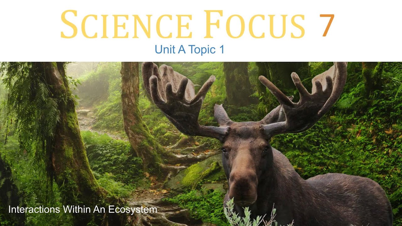 Science Focus 7 Unit A Topic 1 (Interactions Within An Ecosystem)