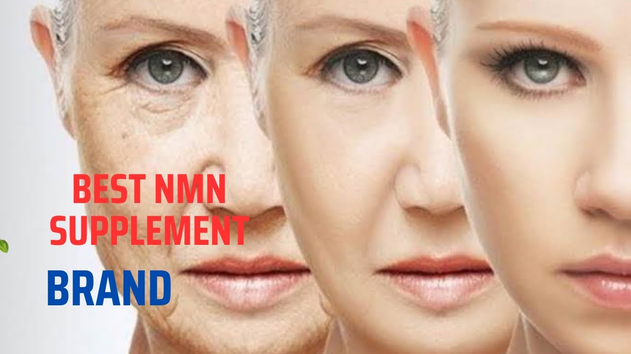 Best NMN Supplement Brand You Can Buy Right Now (Honest Reviews)