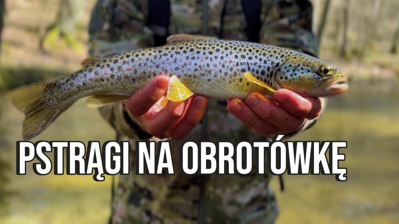 Pstrągi brały tylko na TĘ OBROTÓWKĘ