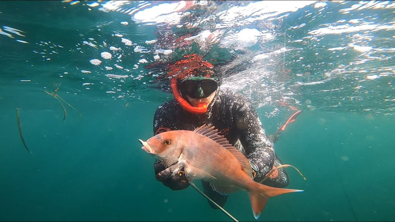 Chasse sous marine - Les Glenans 2022