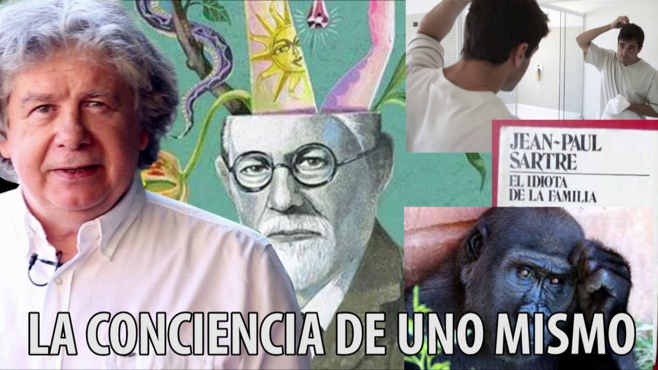 Fernando Villegas - Conciencia de uno mismo