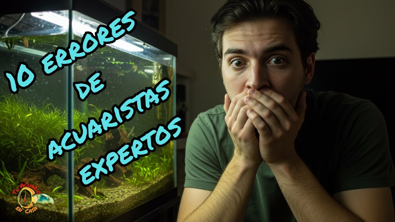 10 errores de acuaristas expertos  Parte I