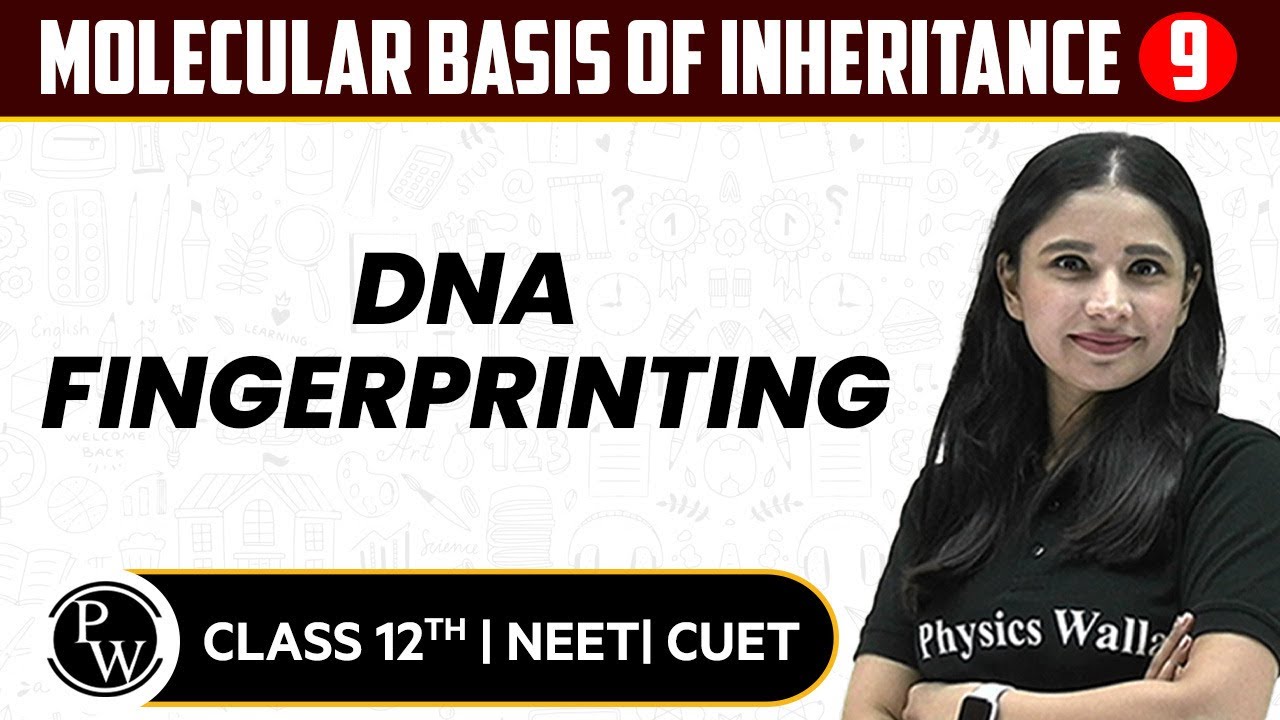 Molecular Basis of Inheritance 09 : DNA Fingerprinting | Pure English | 12th / NEET/CUET