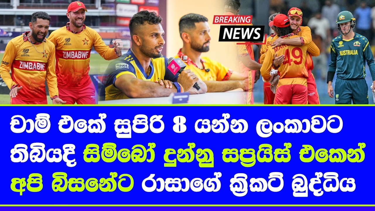 australia vs zimbabwe T20 world cup 2026 highlights report| group B in bi trouble