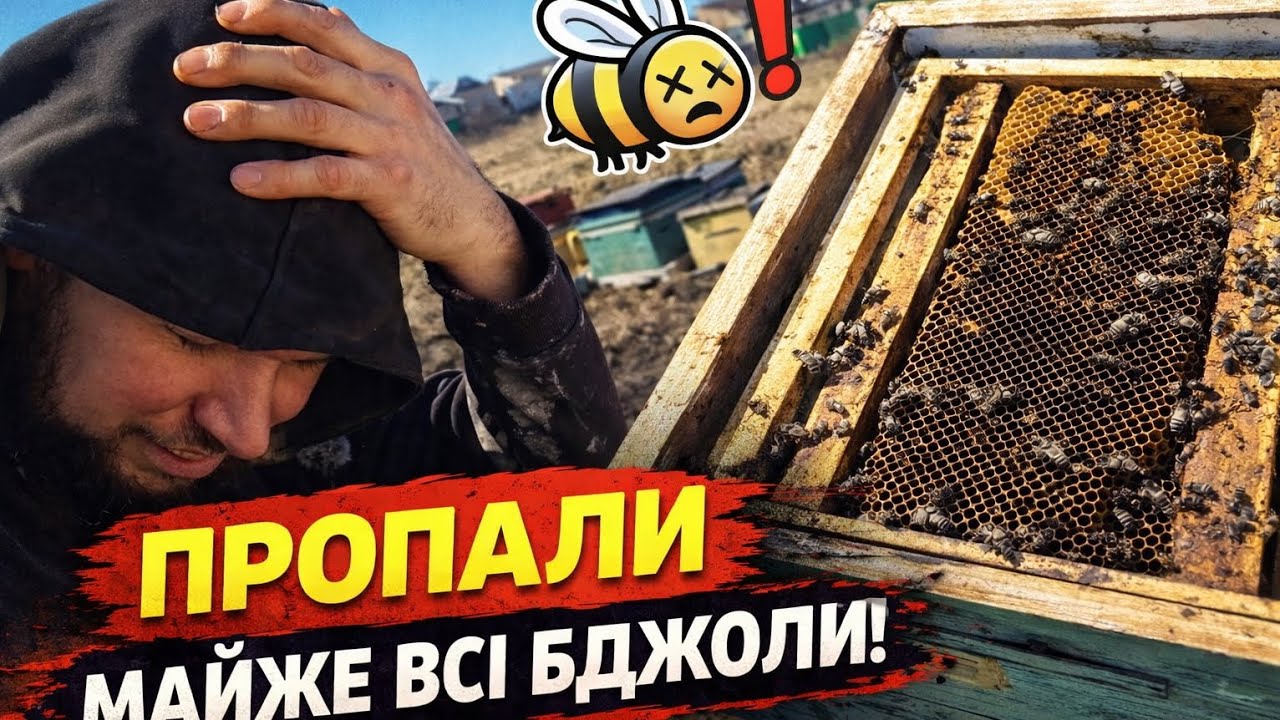 @Найбільша кількість Мертвих Бджіл в Україні 🫣😮‍💨