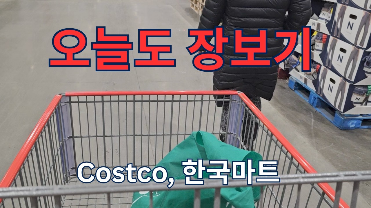 (🇨🇦일상)오늘도 장보기, 코스트코 한국마트ㅣ물가는 계속 오르고ㅣ저녁으로 아롱사태 전골, 연포탕ㅣ3월중순 여전히 함박눈ㅣ딸셋맘 브이로그