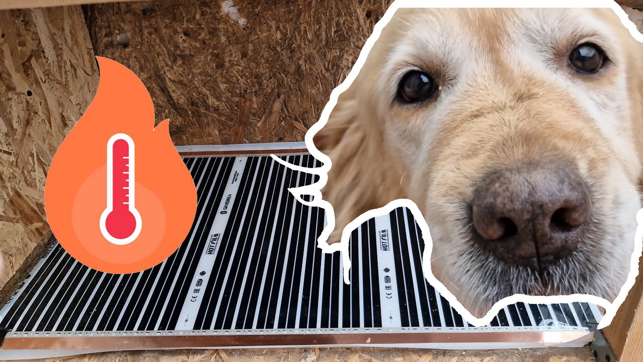 Incalzire Cusca Caine - Controller Termostat digital XH-W3001 220v - Dog Cage Heating