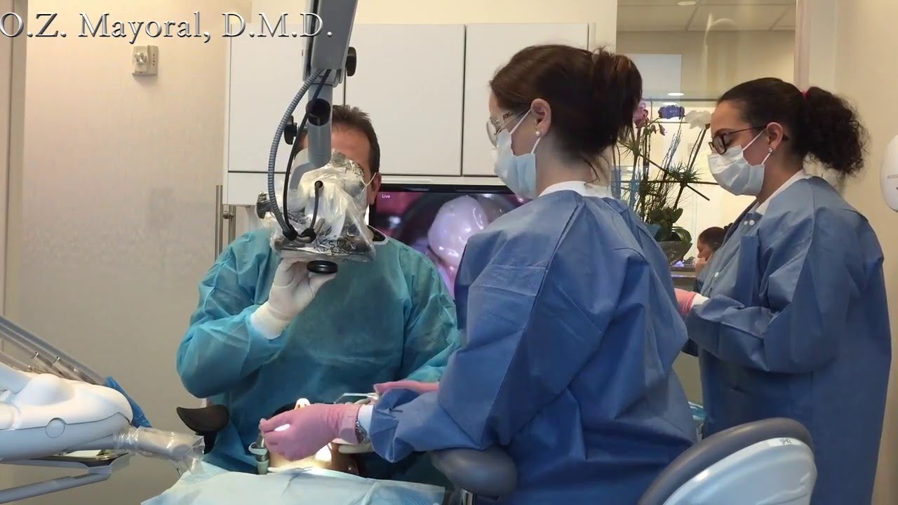 Workflow, Ergonomics, Documentation and Patient Education in Microscope Dentistry.