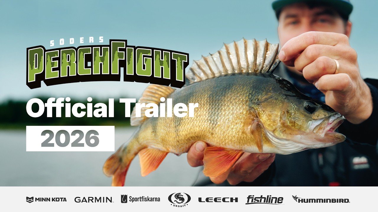PerchFight 2026 | Official Trailer
