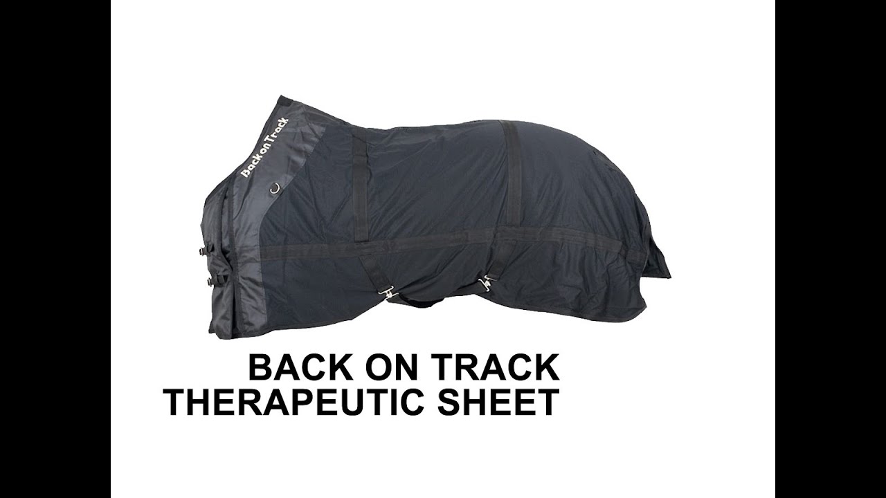 Back on Track Therapeutic Mesh Sheet