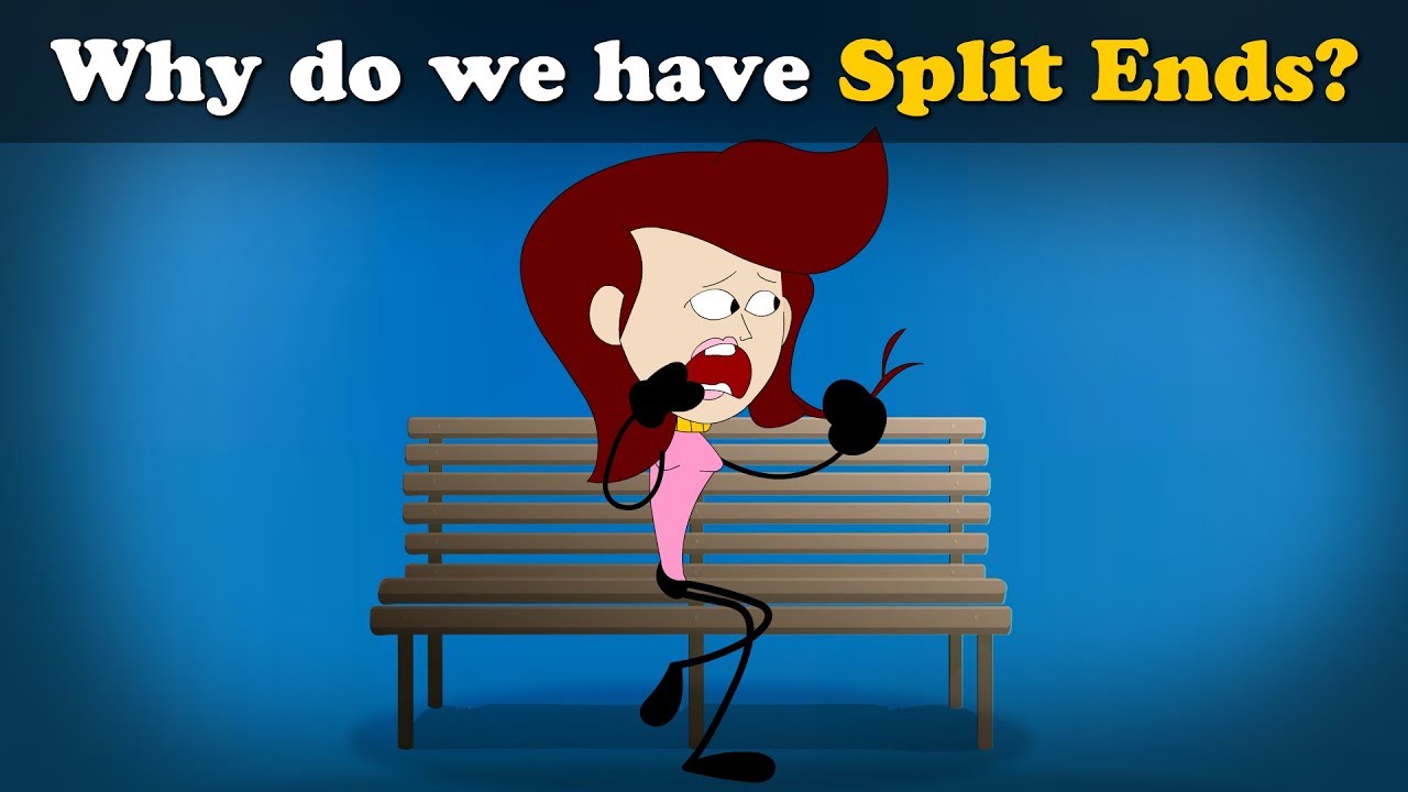 Why do we have Split Ends? + more videos | #aumsum #kids #science #education #children