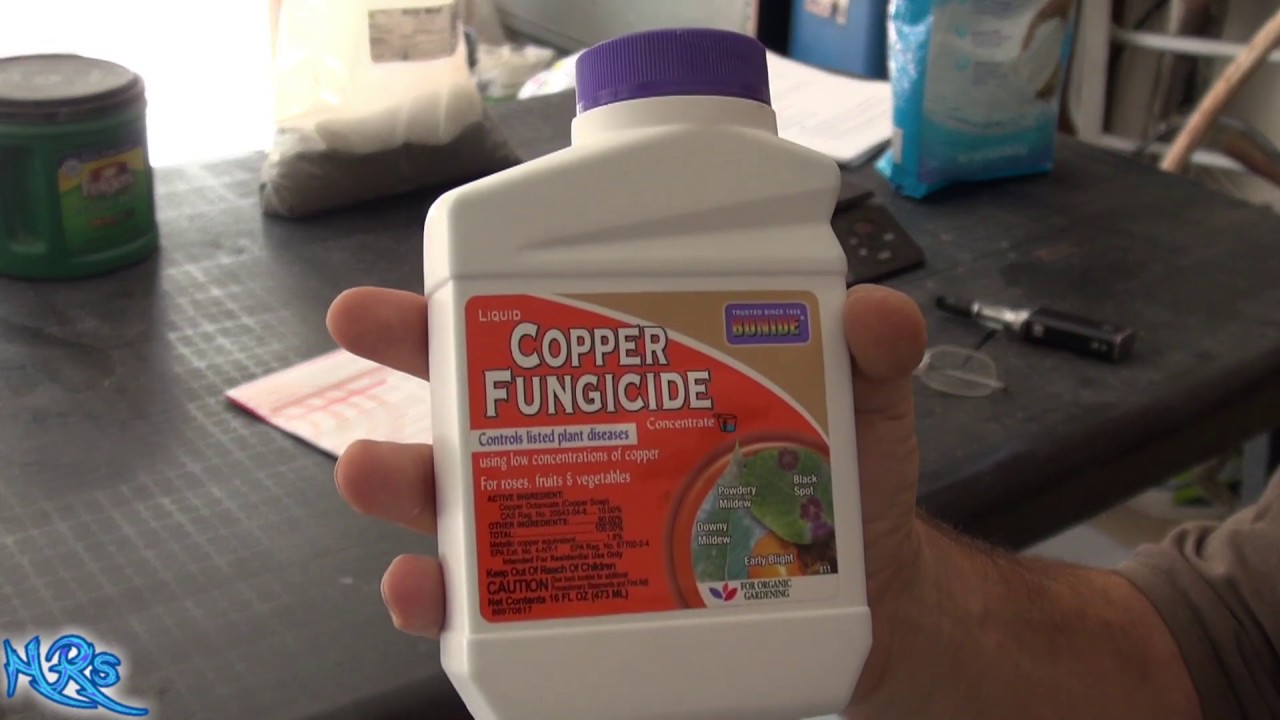 ⟹ Copper fungicide | Bonide | Product overview