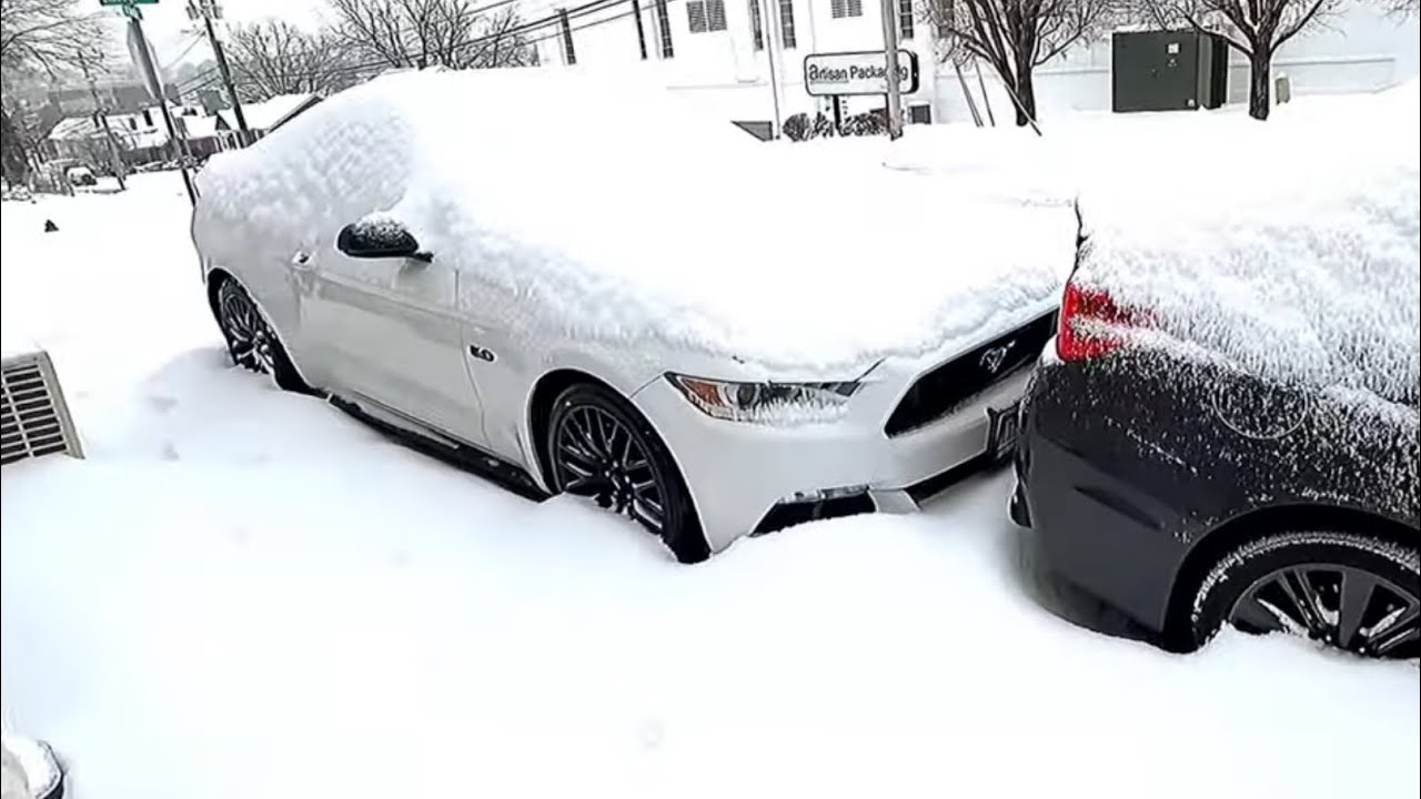 POV: disfrutando de mi Mustang gt antes de la peor tormenta de nieve de la historia