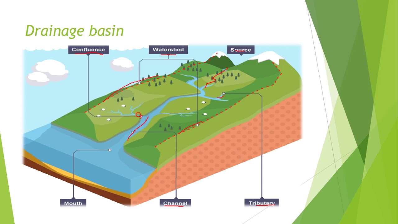 Drainage basin