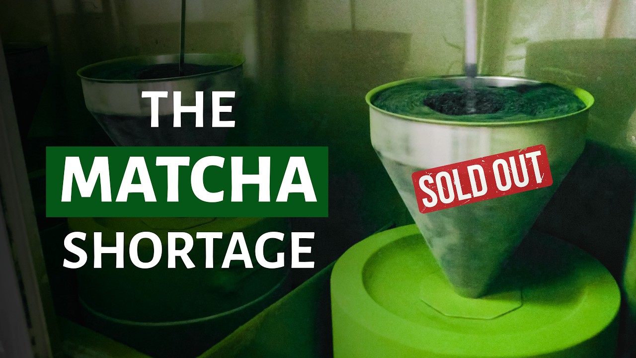 Matcha Shortage | History, Context, and Predictions