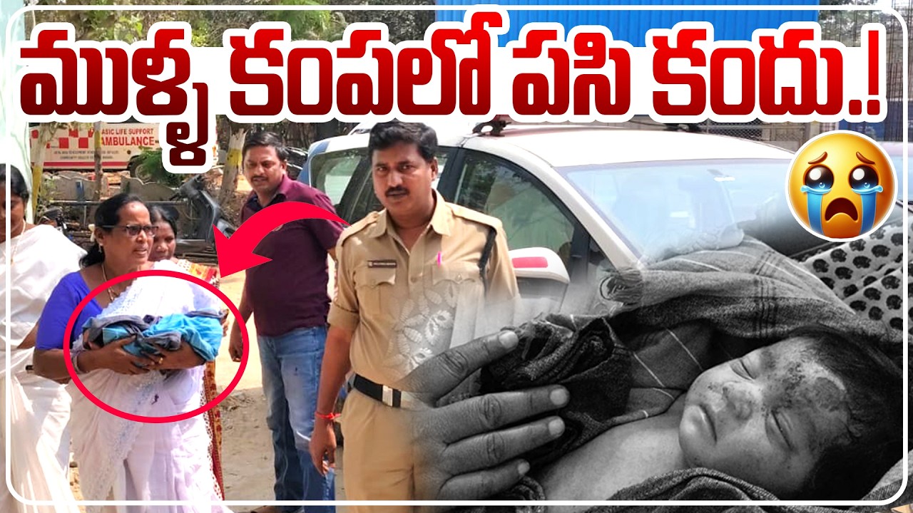 ముళ్ళ కంపలో పసి కందు....!.| Qnews