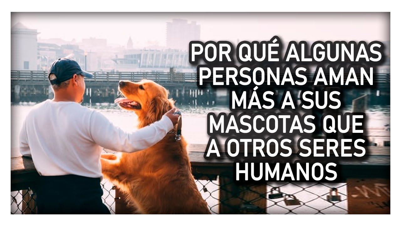 POR QUÉ ALGUNAS PERSONAS AMAN MÁS A SUS MASCOTAS QUE A OTROS SERES HUMANOS