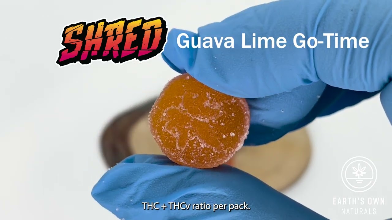 Shred'ems - Guava Lime Go-Time 1:1 THC:THCv Gummies